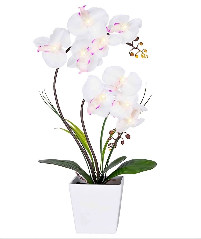 LED Lighted Orchid Lamp **
