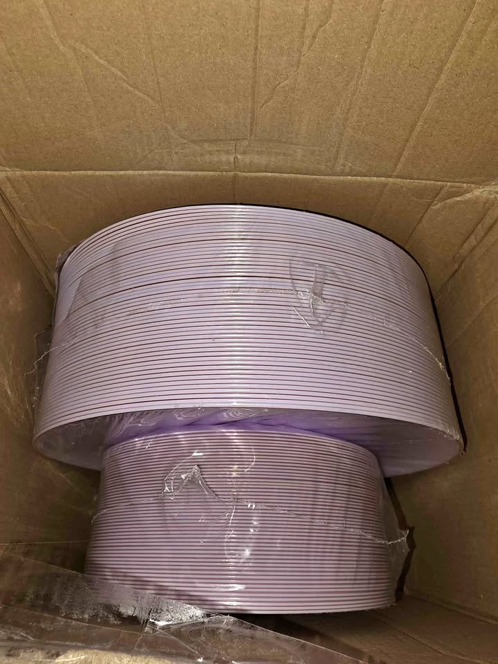 PULOTE 100PCS Purple Plastic Plates Disposable -*