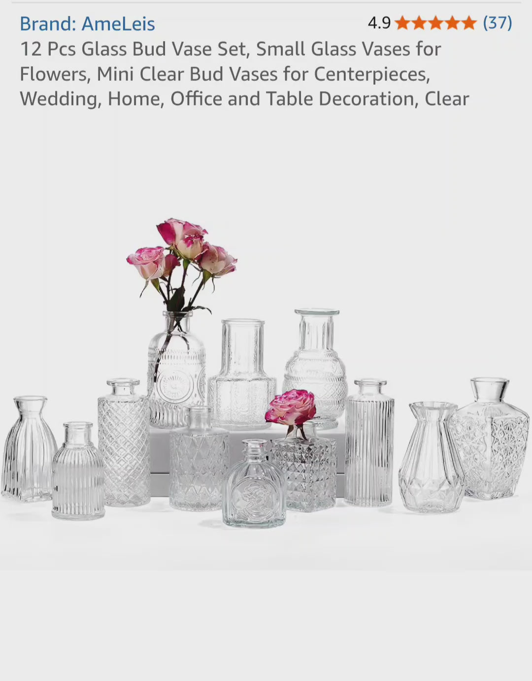 AmeLeis 12 Pcs Glass Bud Vase Set, Clear