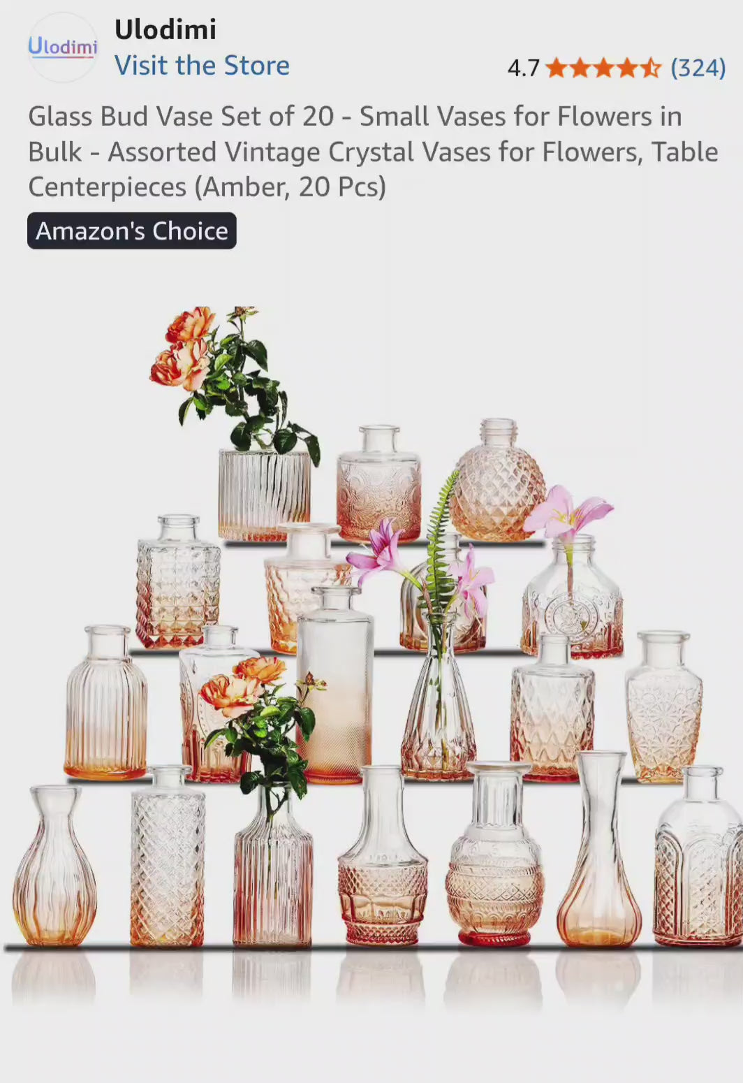 Glass Vase Set of 20 - Small Vases for Flowers in Bulk