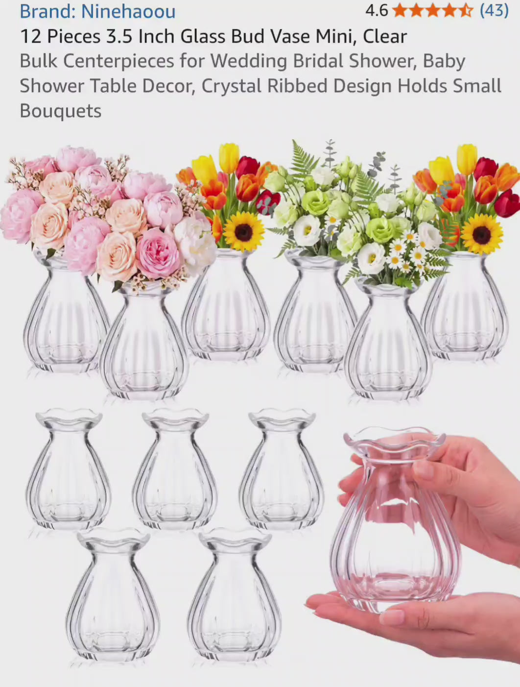 Ninehaoou 12-Piece 3.5-Inch Clear Glass Bud Vases