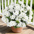 Artificial Geraniums Fake Flowers for Outdoors,12 PCS White Silk Faux Plant