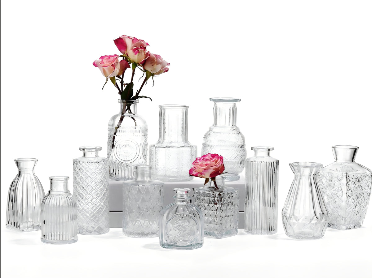 AmeLeis 12 Pcs Glass Bud Vase Set, Clear