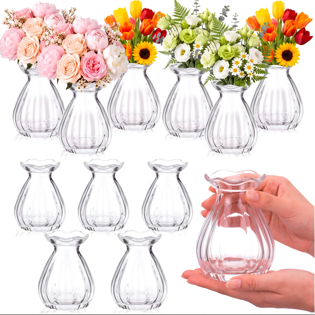 Ninehaoou 12-Piece 3.5-Inch Clear Glass Bud Vases