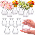 Ninehaoou 12-Piece 3.5-Inch Clear Glass Bud Vases