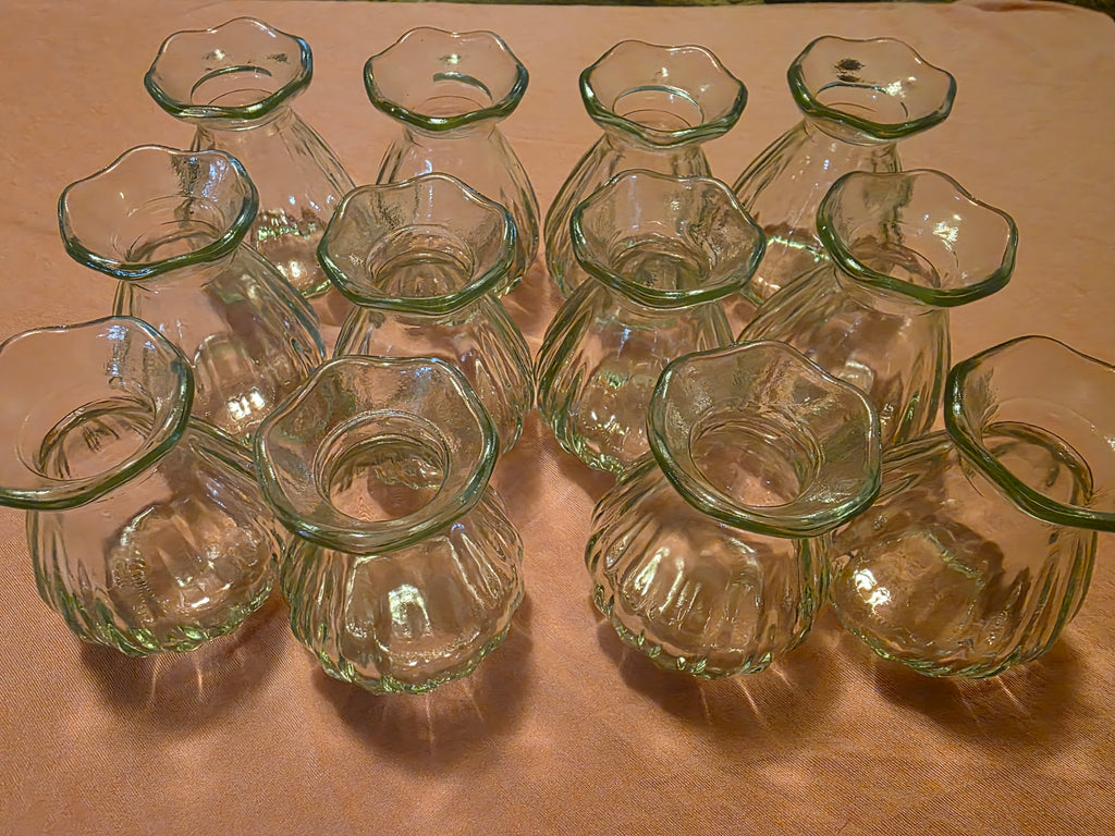 Ninehaoou 12-Piece 3.5-Inch Clear Glass Bud Vases