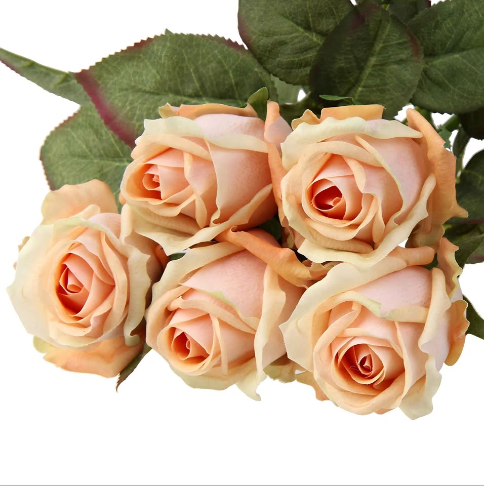 DILATATA Artificial Realistic Roses Peach **