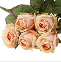 DILATATA Artificial Realistic Roses Peach **